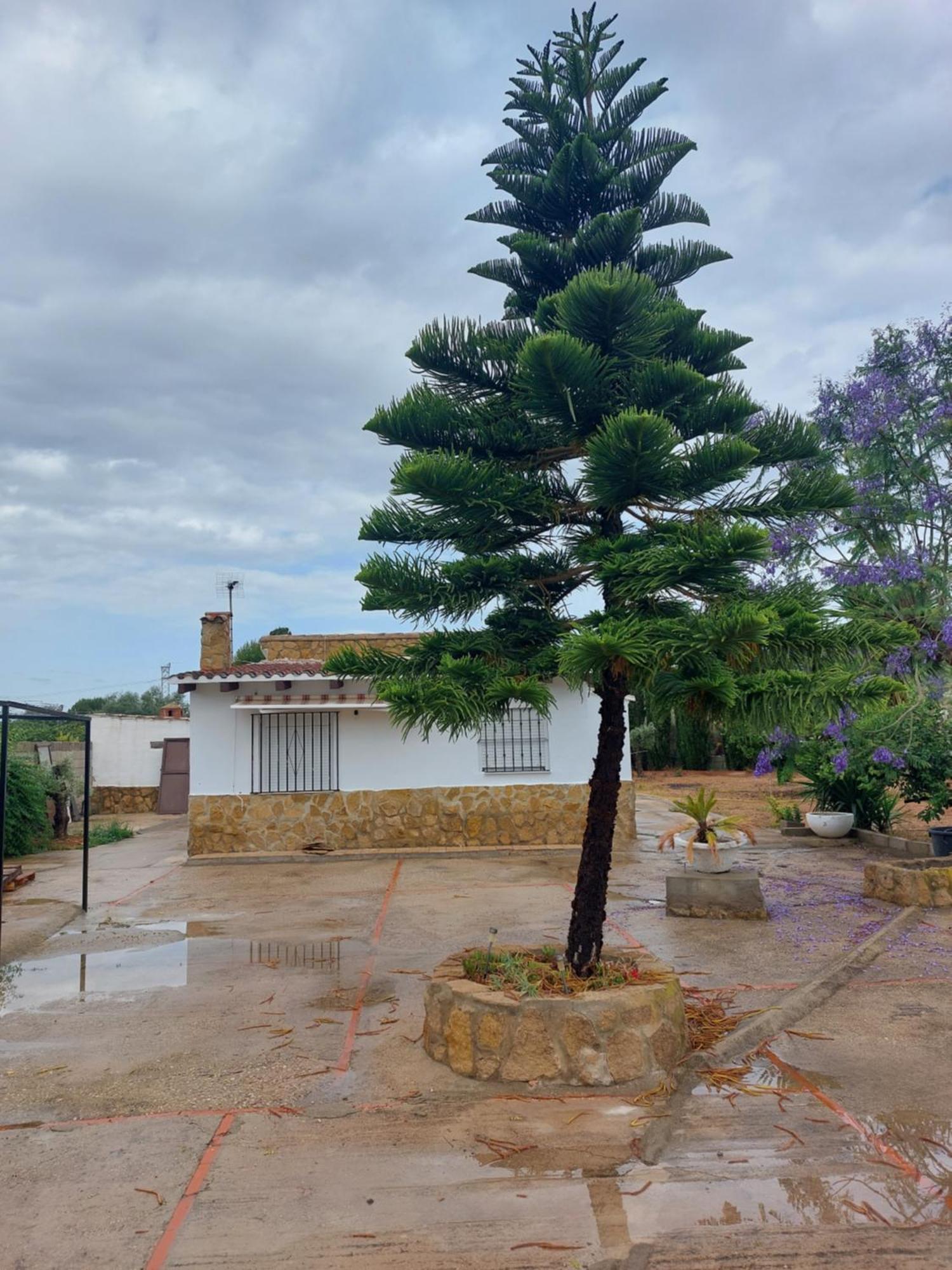 Les Berreries Ferienhaus Montroy